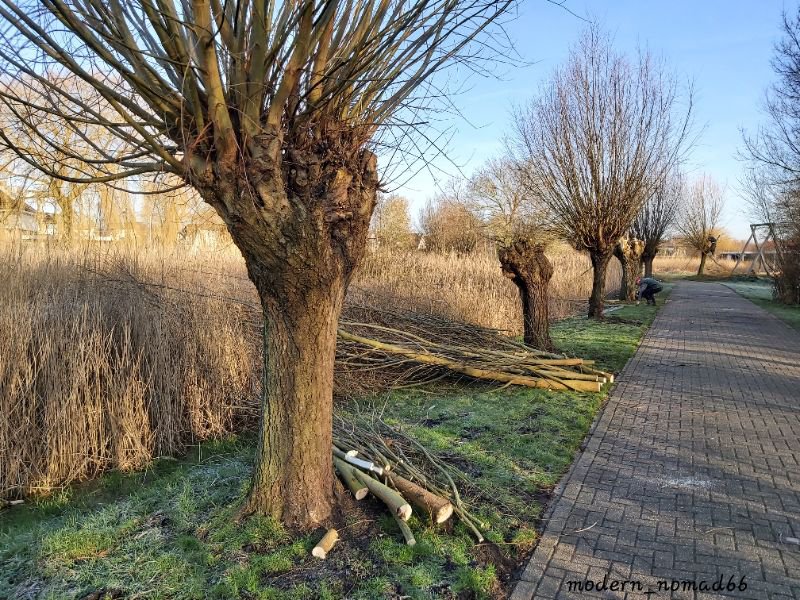 2022-02-12-helofytenfilter 12
